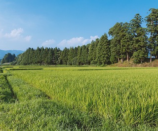 安易に使われている「快眠」という言葉。