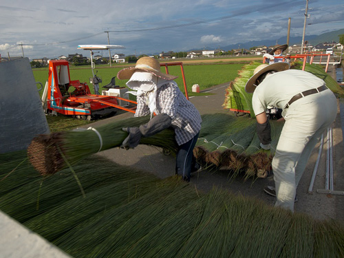 igusa_farmer