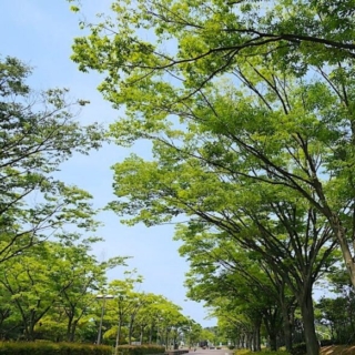 夏季休業につきまして