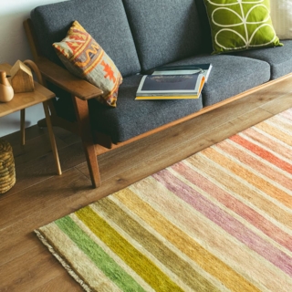 第16回 ハグみじゅうたん展開催します！